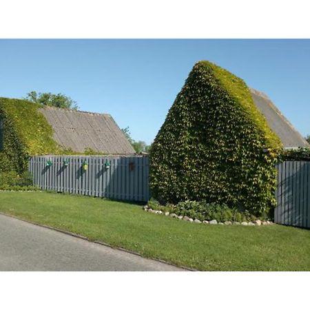 Apartmán Ferienhaus Deichblick Dornum Exteriér fotografie